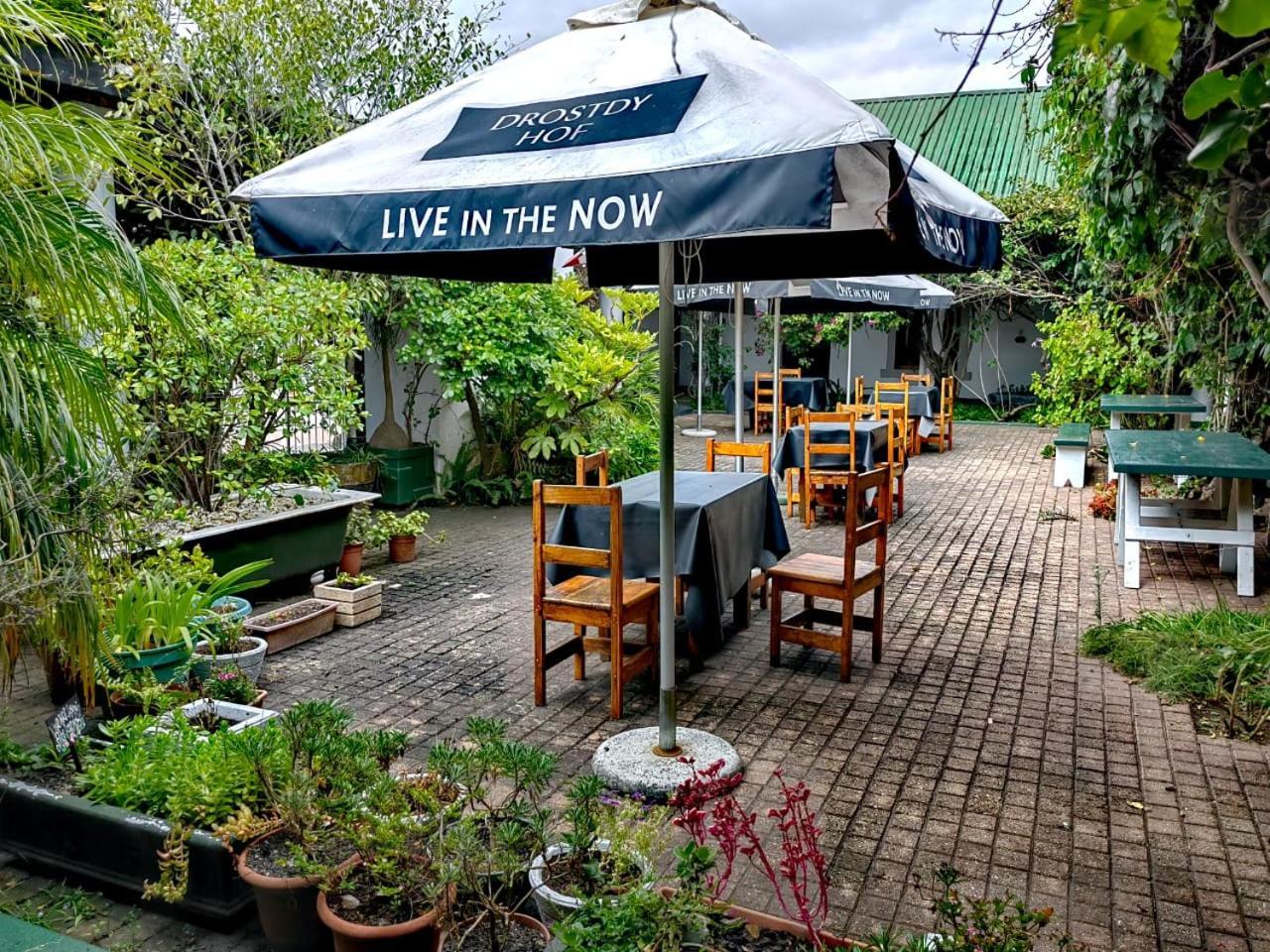 Albertinia Hotel Ngoại thất bức ảnh